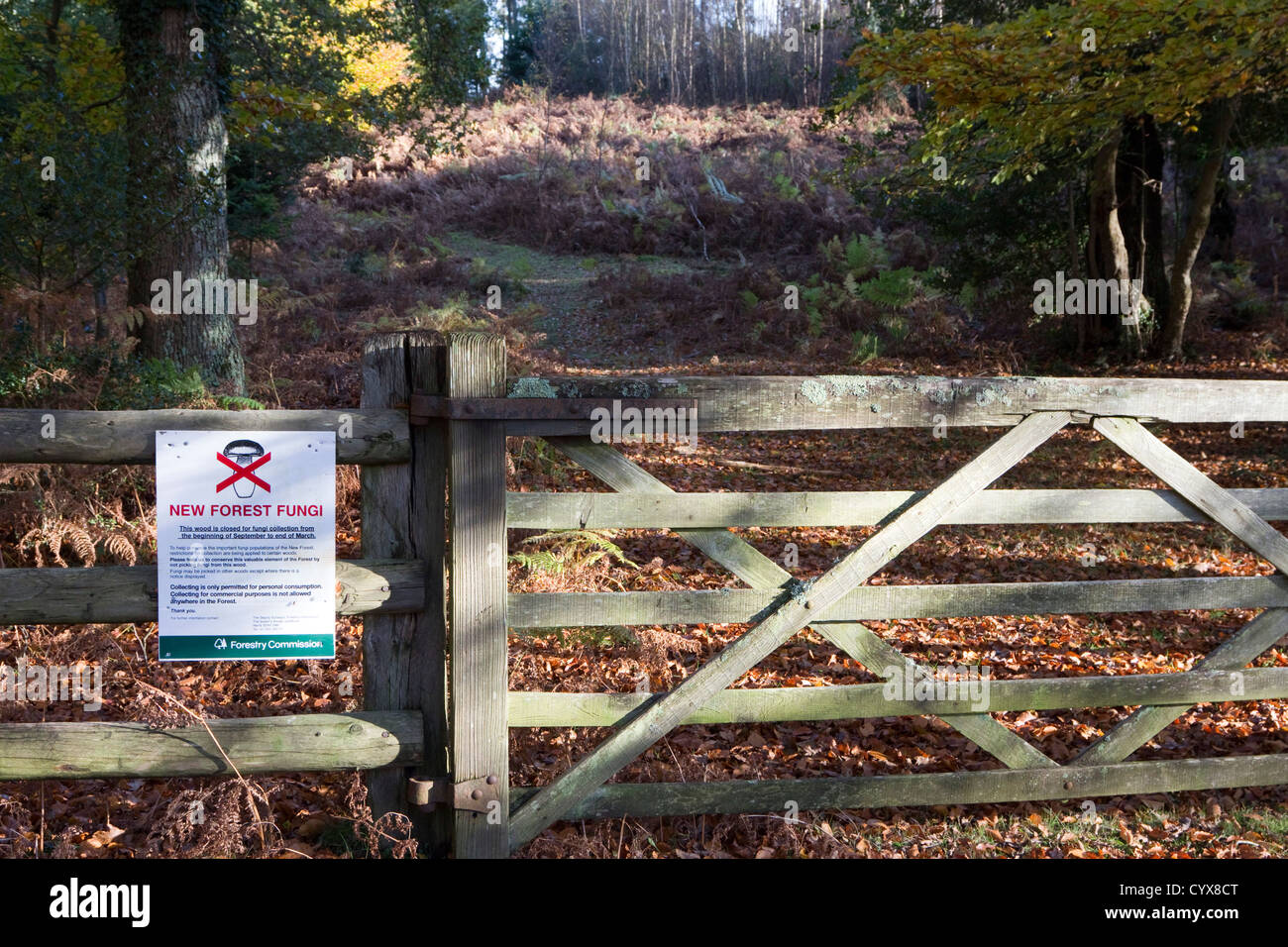New Forest Pilze Warnzeichen nehmen nicht New Forest Hampshire england Stockfoto