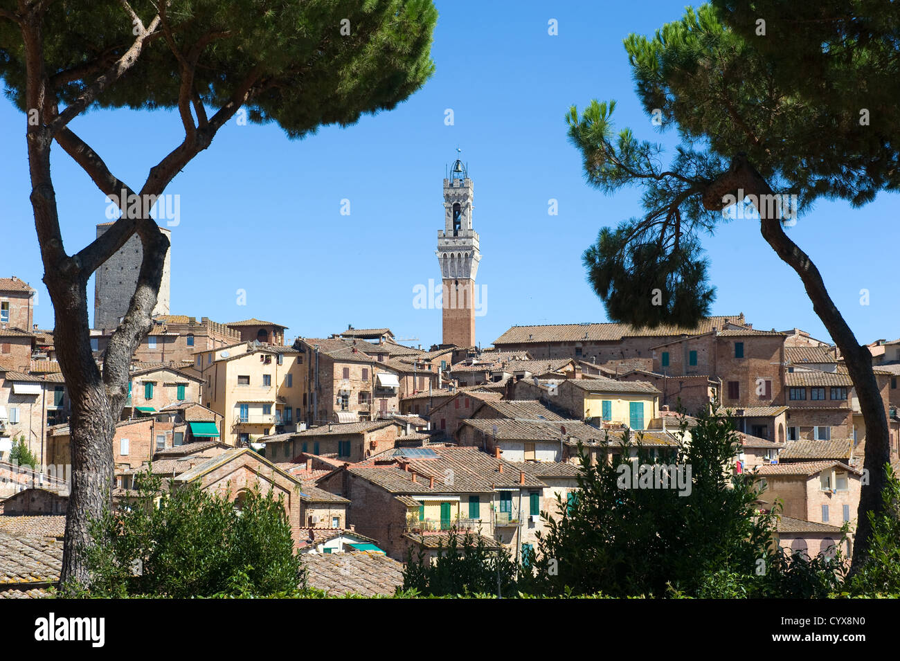 Der Torre del Mangia-Turm in der Mitte von Siena in der Toskana in Italien. Stockfoto