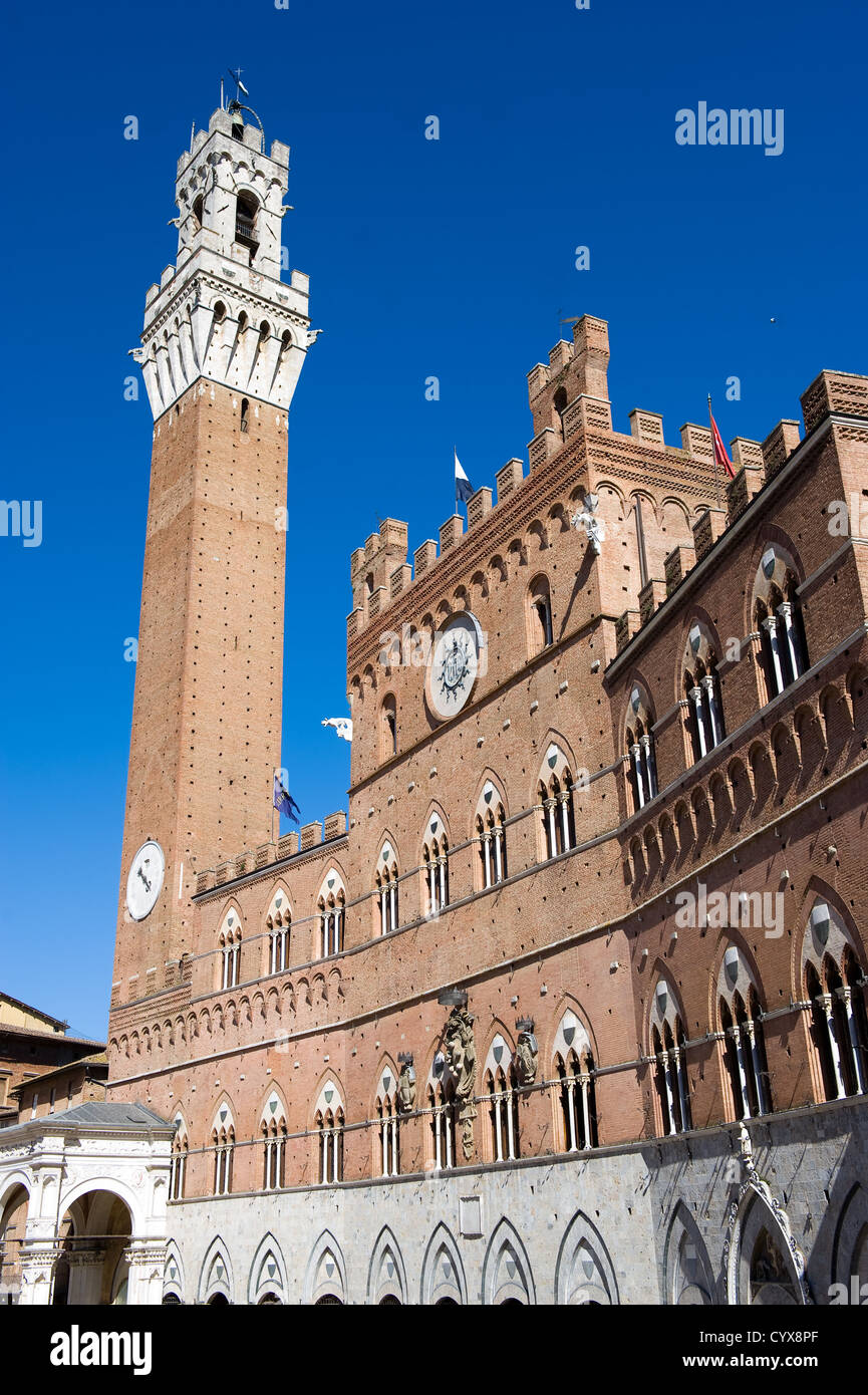 Der Torre del Mangia auf der Piazzo del Campo (Platz) in die Stadt Siena in der Toskana in Italien. Stockfoto