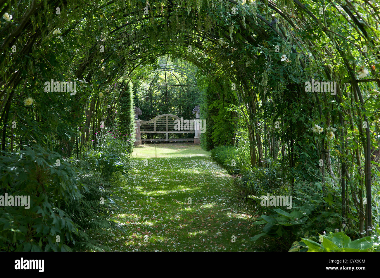 Garten Sträucher Tunnel, UK Stockfoto