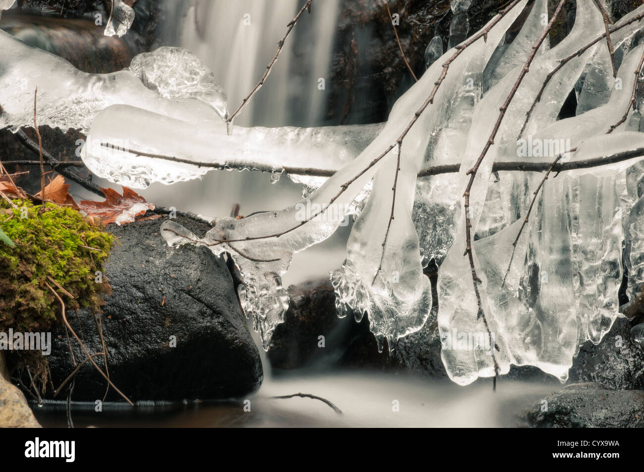 Frei fließende New Hampshire Stream im Winter mit vereisten Ästen und bemoosten Felsen. Stockfoto
