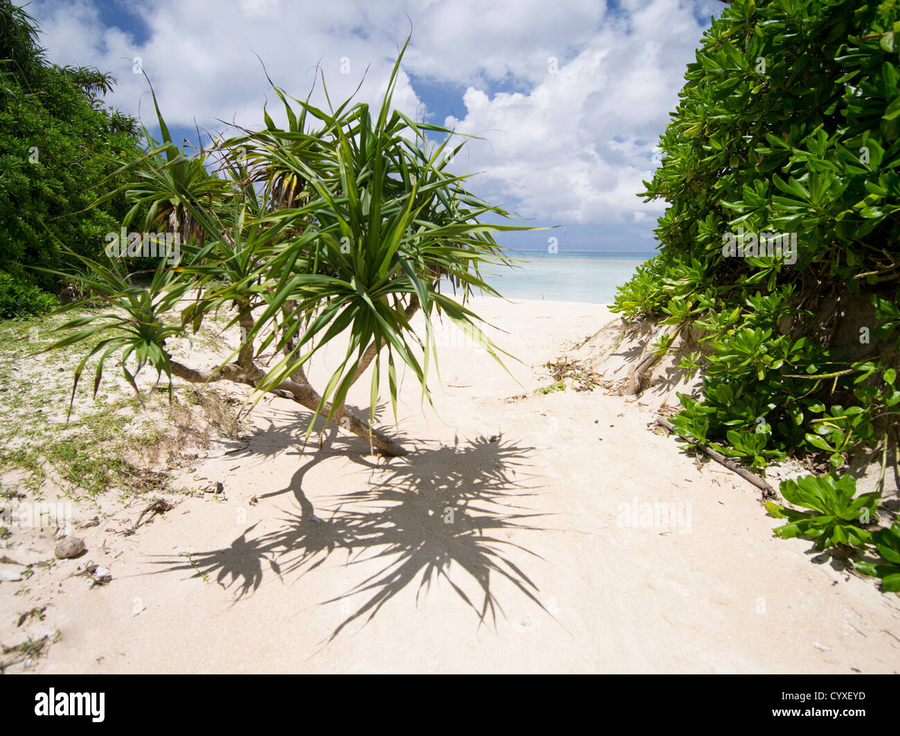 Nishihama Strand, Hateruma Insel Yaeyamas, Okinawa, Japan Stockfoto