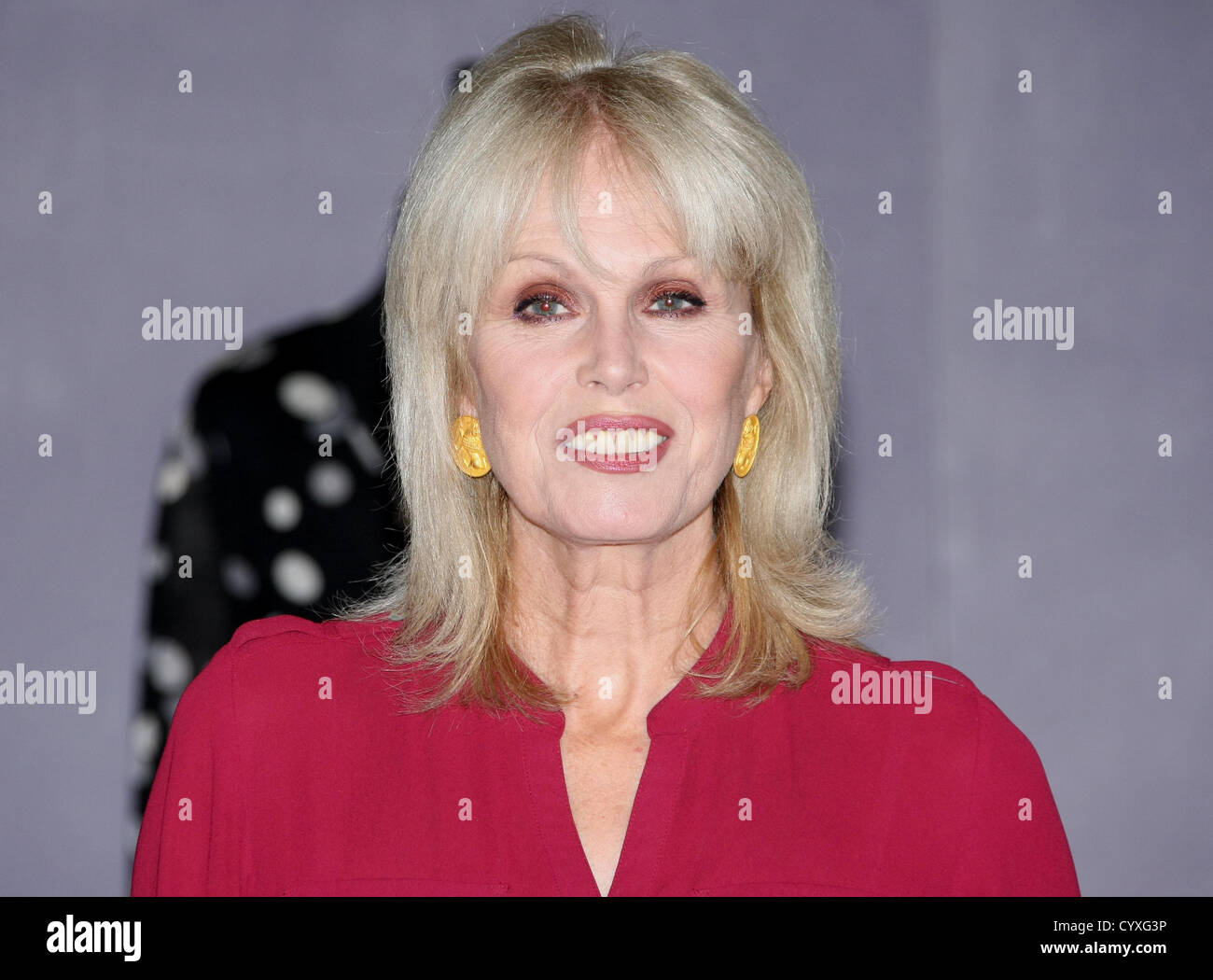 JOANNA LUMLEY ABSOLUTELY FABULOUS JOANNA LUMLEY Auktion LONDON ENGLAND Großbritannien 12. November 2012 Stockfoto