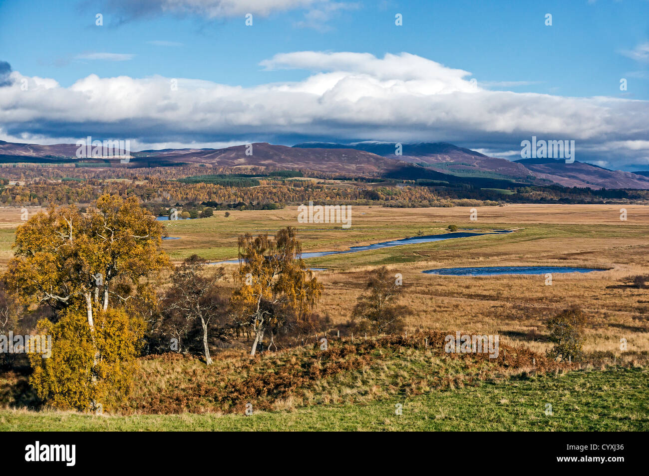 Zeigen Sie über den Zoll Marken Bereich nördlich und westlich von der B970 & östlich von B9152 Straßen im Hochland Schottland wie aus Osten hier gesehen an Stockfoto