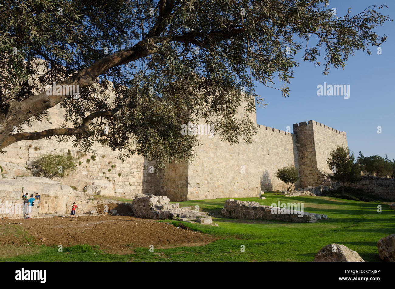 Stadtmauern und Olivenbaum auf Gan Habonim Strandpromenade. Altstadt von Jerusalem. Israel. Stockfoto