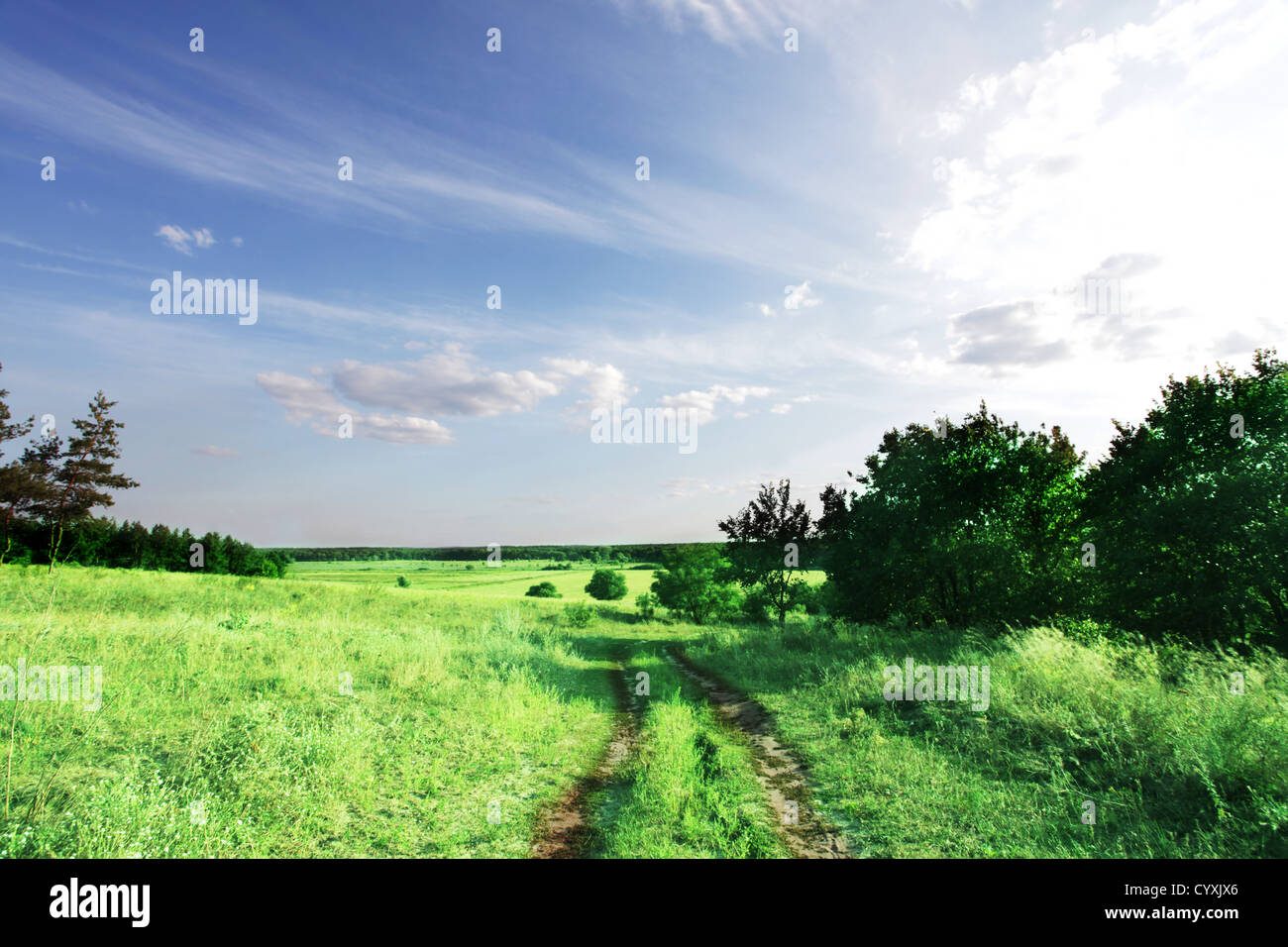 Straße in Wiesen Stockfoto