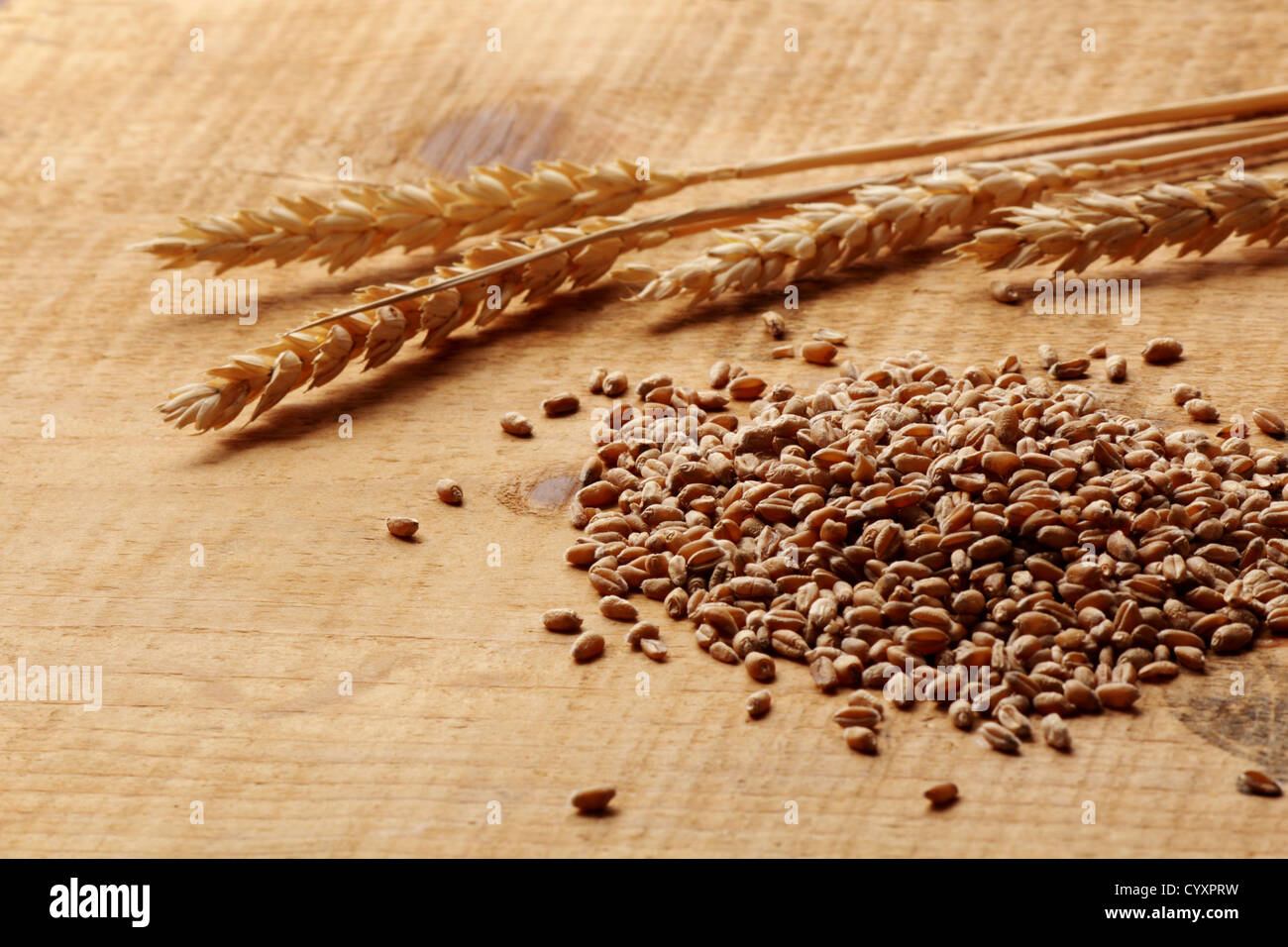 Weizen, Mais und Spike auf einer Holzplatte Stockfoto