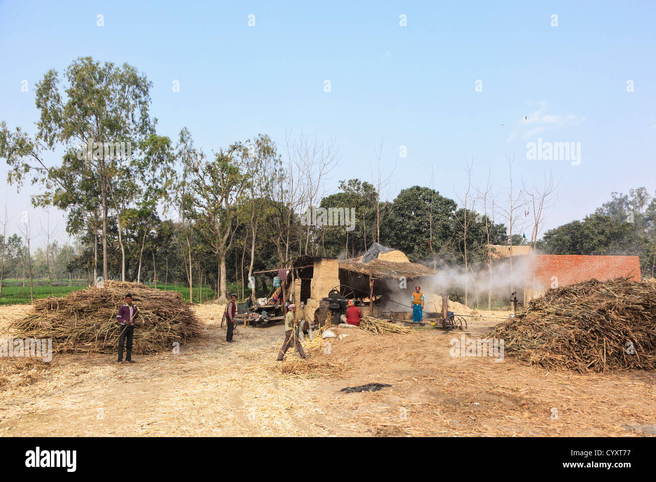 Indien, Blick auf Zuckerrohr-Verarbeitung Stockfoto