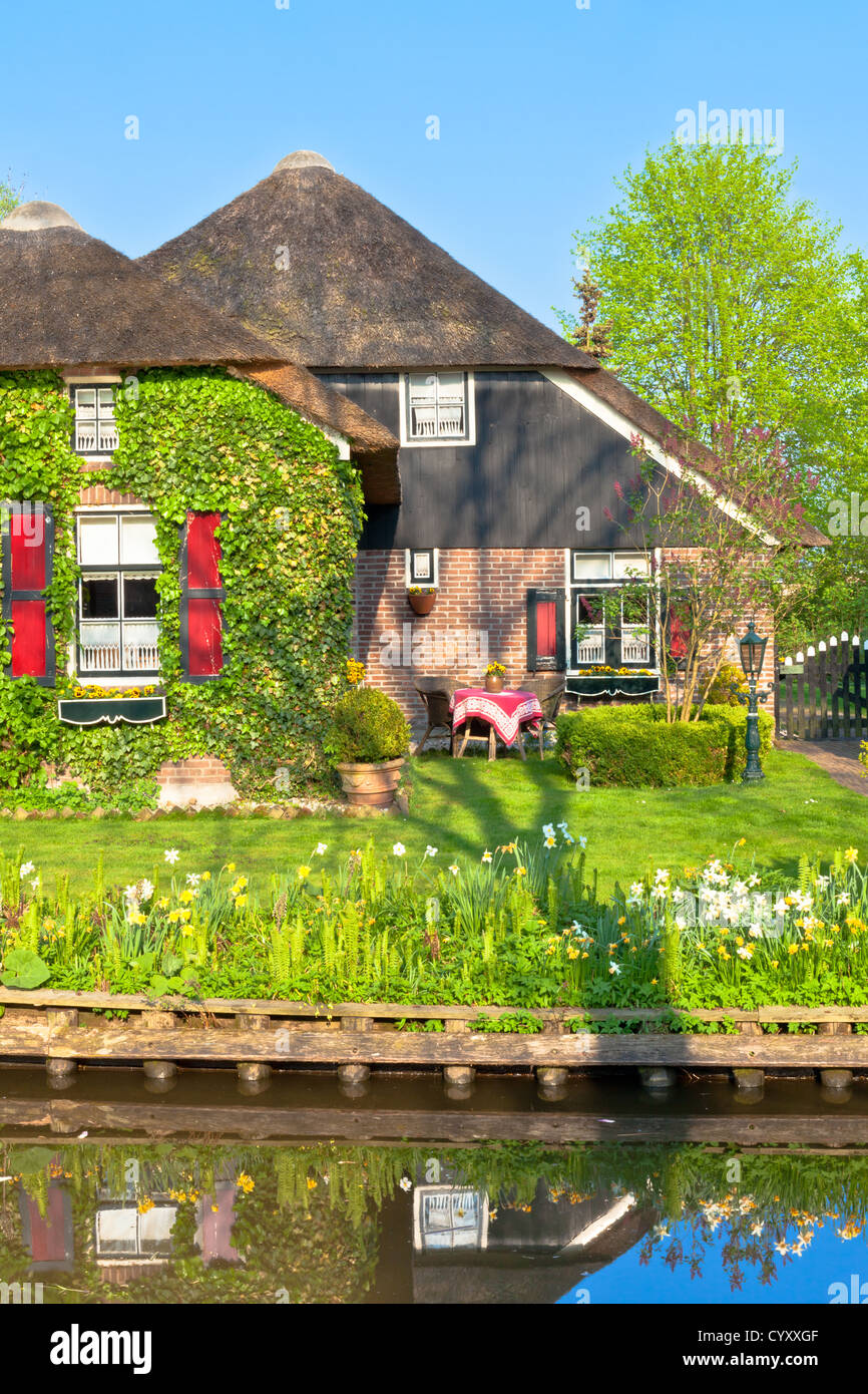 Schöne traditionelle niederländische Haus mit Strohdach Stockfoto