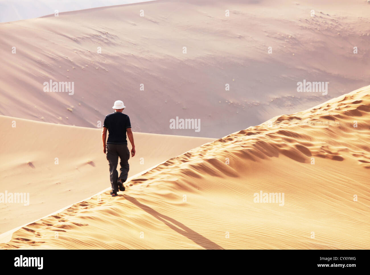 Wandern in der Sandwüste Stockfoto