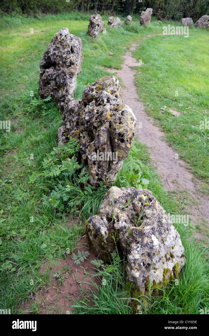 Den Männern des Königs Stein Kreis, Teil der Rollright Steine, in der Nähe von Chipping Norton, Oxfordshire, Vereinigtes Königreich. Stockfoto