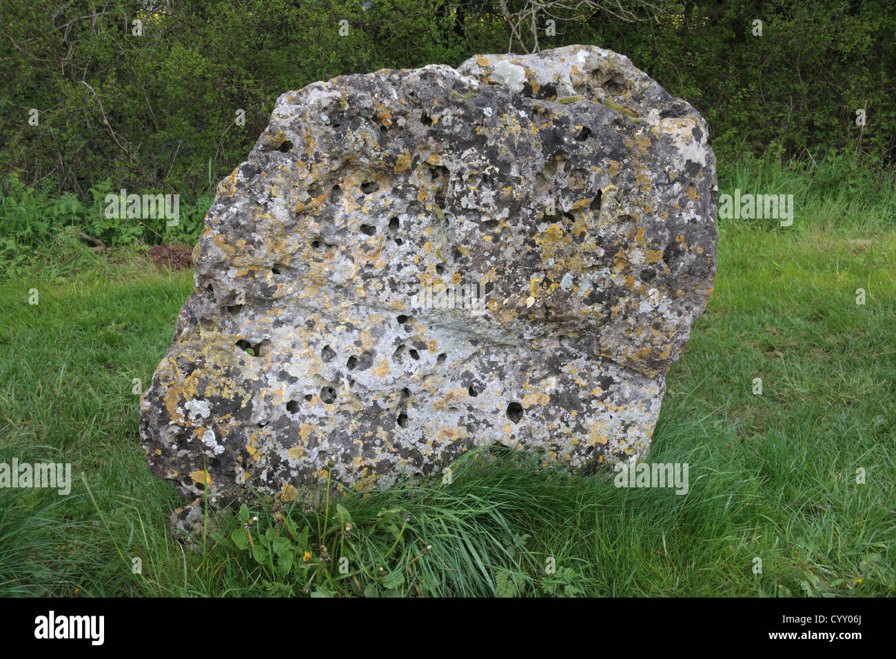Ein Stein in den Männern des Königs Stein Kreis, Teil der Rollright Steine, in der Nähe von Chipping Norton, Oxfordshire, Vereinigtes Königreich. Stockfoto