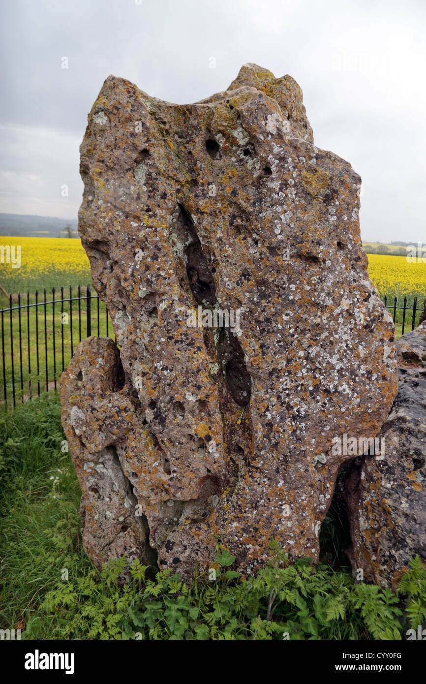Das Flüstern Ritter Grabkammer, Bestandteil der Rollright Stones, in der Nähe von Chipping Norton, Oxfordshire, Vereinigtes Königreich. Stockfoto