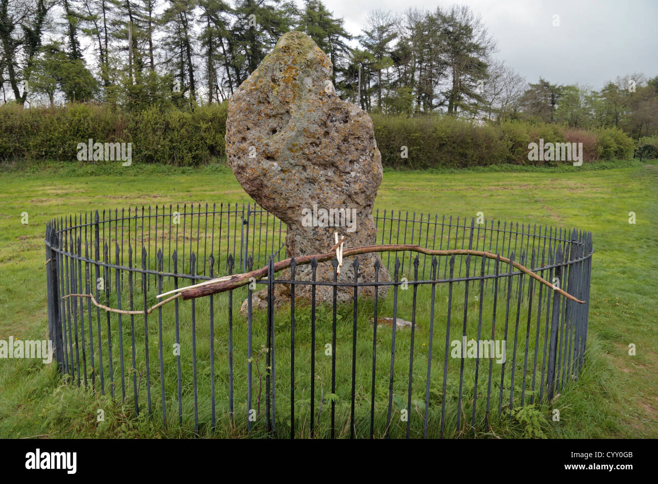 Der King-Stein stehend Stein, Bestandteil der Rollright Stones, in der Nähe von Chipping Norton, Oxfordshire, Vereinigtes Königreich. Stockfoto