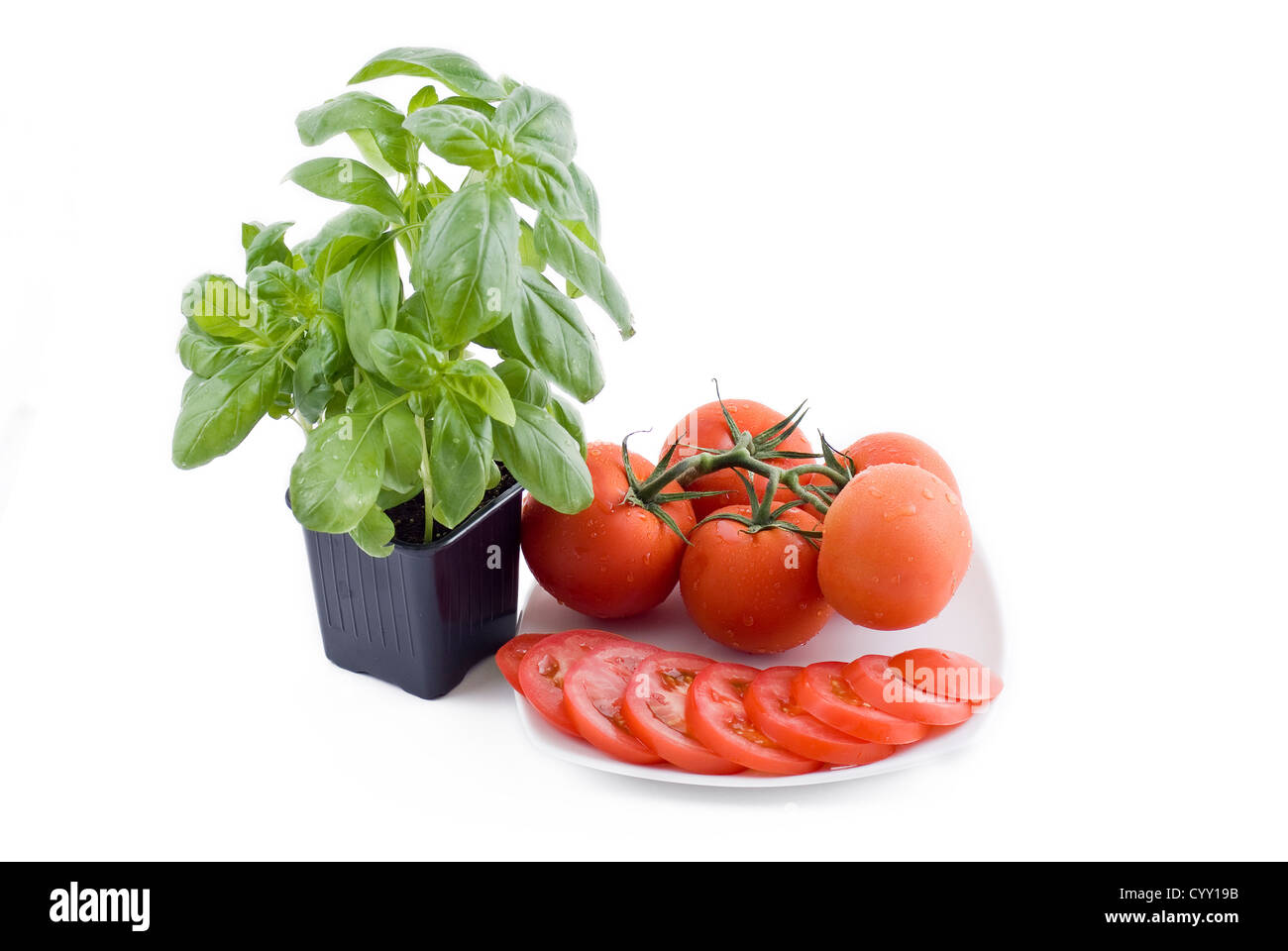 Frischen Topf mit Basilikum und Platte mit jede Menge Tomaten und in Scheiben geschnittene Tomaten Stockfoto Frischen Topf mit Basilikum und Platte mit jede Menge Tomaten und in Scheiben geschnittene Tomaten Stockfoto