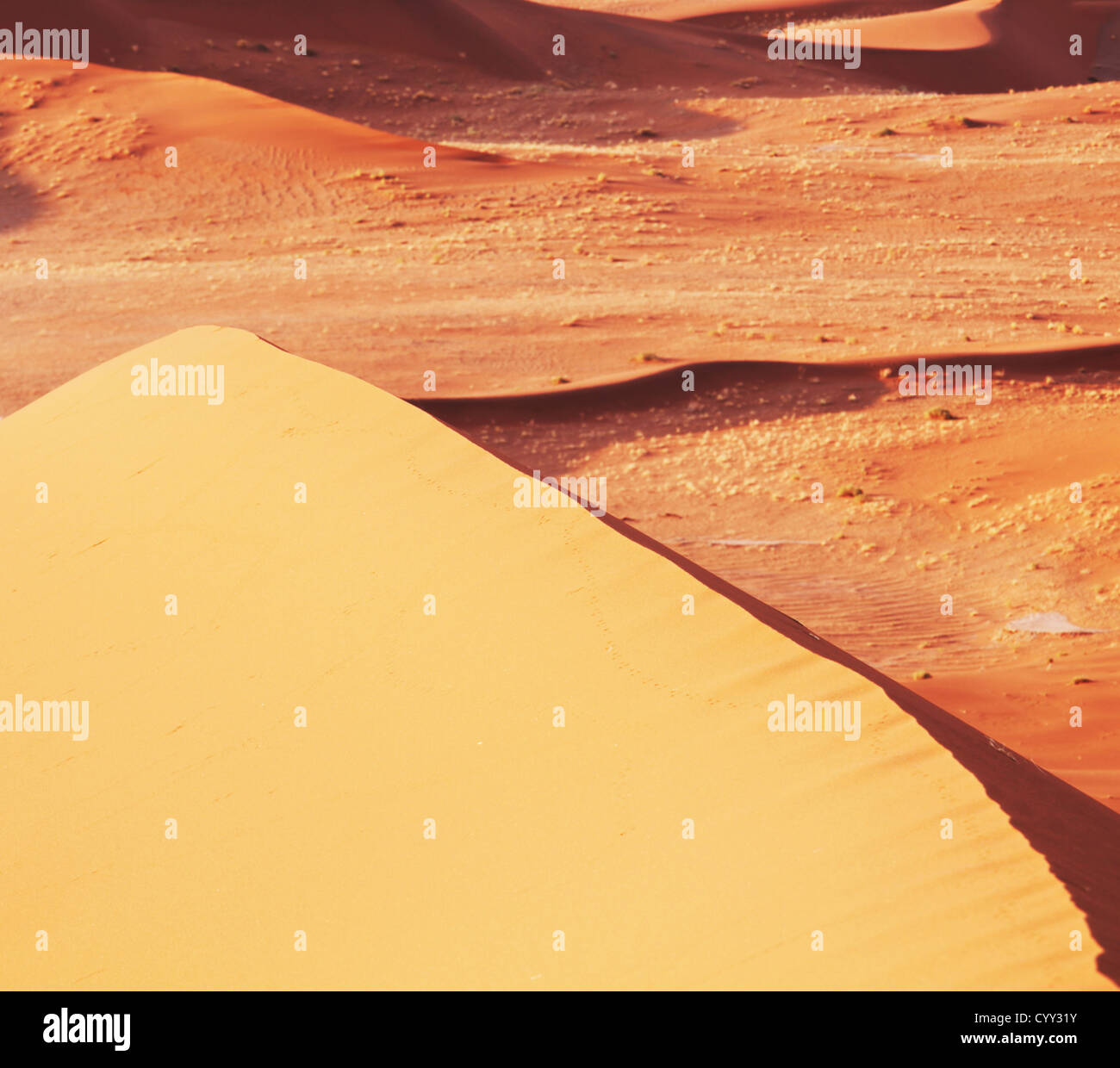 Wüsten-Düne Stockfoto