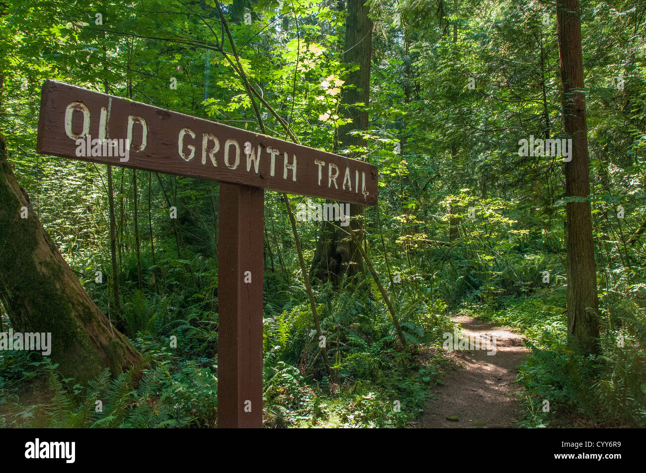 Alten Wachstum Trail, Lewis und Clark State Park, Washington. Stockfoto
