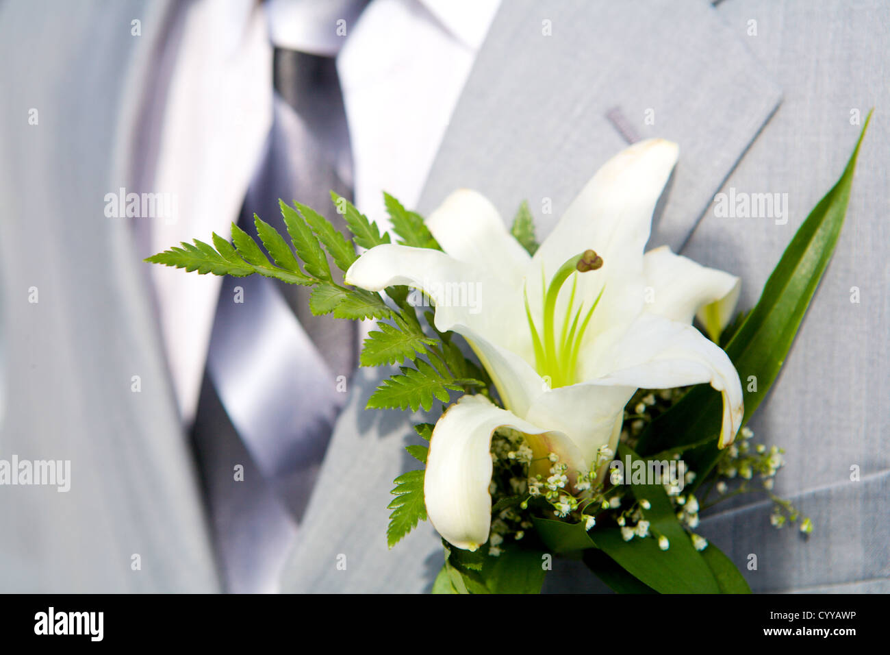 Knopfloch-Lilie bis ins Detail des Bräutigams Hochzeit dressup Stockfoto