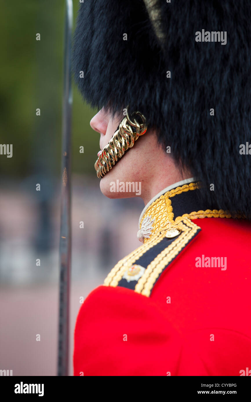 Mitglied der Schotten Wachablösung vor dem Buckingham Palace, London, England, UK Stockfoto