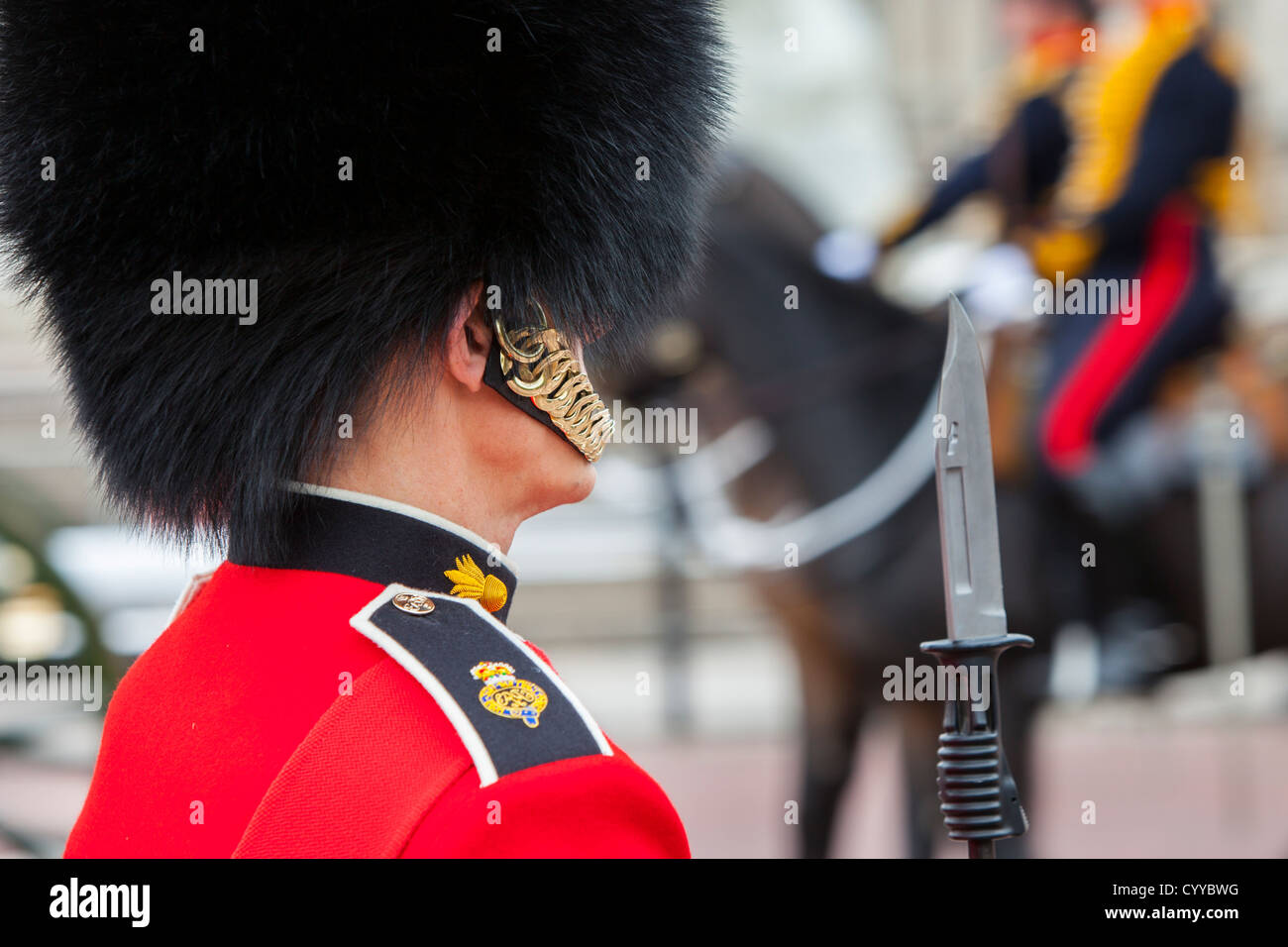 Mitglied der Schotten Wachablösung vor dem Buckingham Palace, London, England, UK Stockfoto