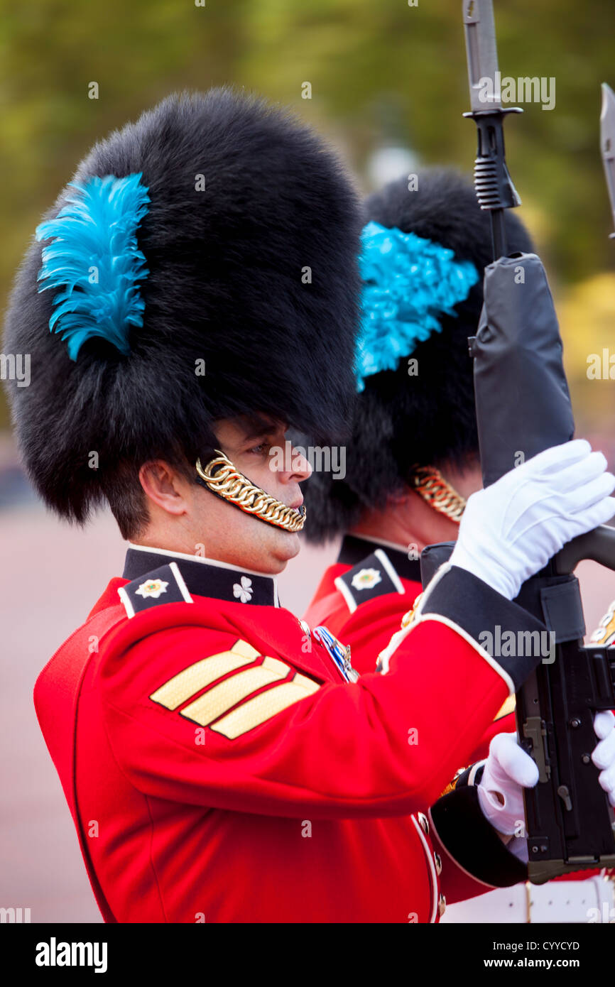 Mitglieder der schottischen Garde auf der Parade am Buckingham Palace, London England, UK Stockfoto