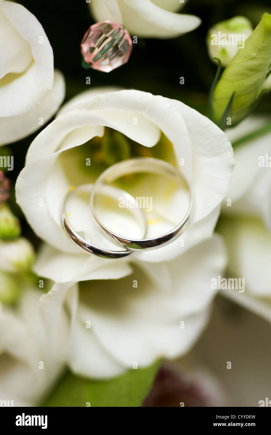 Zwei goldene Hochzeit Ringe auf Blüten Makroaufnahme Stockfoto