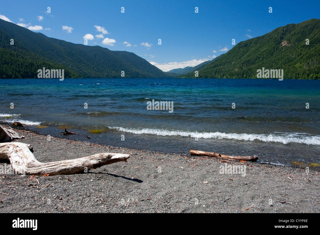 Ausblick vom Strand des Lake Crescent, Olympic Nationalpark, Clallam County, Washington. USA im Juni Stockfoto