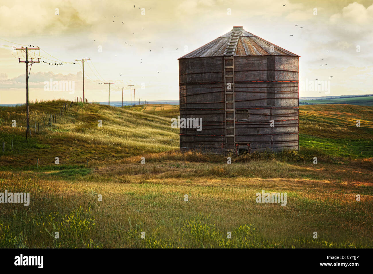Verlassene Holzmaserung Lagerplatz auf dem Grasland in Saskatchewan, Kanada Stockfoto