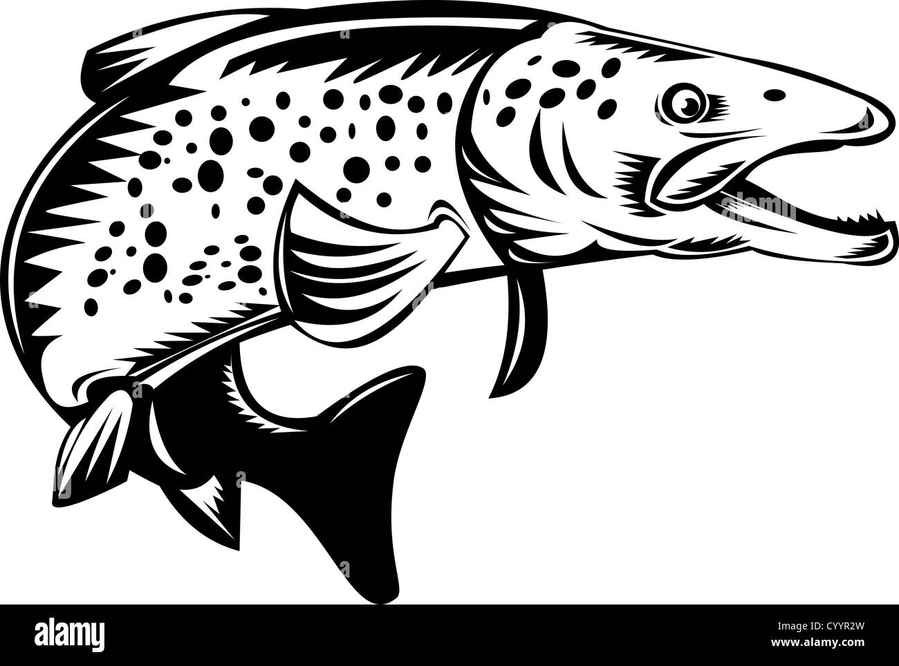 Illustration der gefleckte gesprenkelte Forelle Fisch springen getan im retro-Stil Stockfoto
