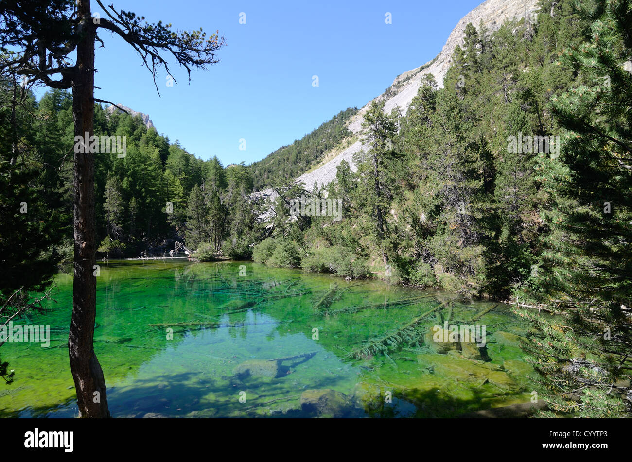 Der schöne von Fir gesäumte Lac Vert oder Green Lake Etroite Valley oder Vallée Etroite Névache Hautes-Alpes Franch Alps Frankreich Stockfoto