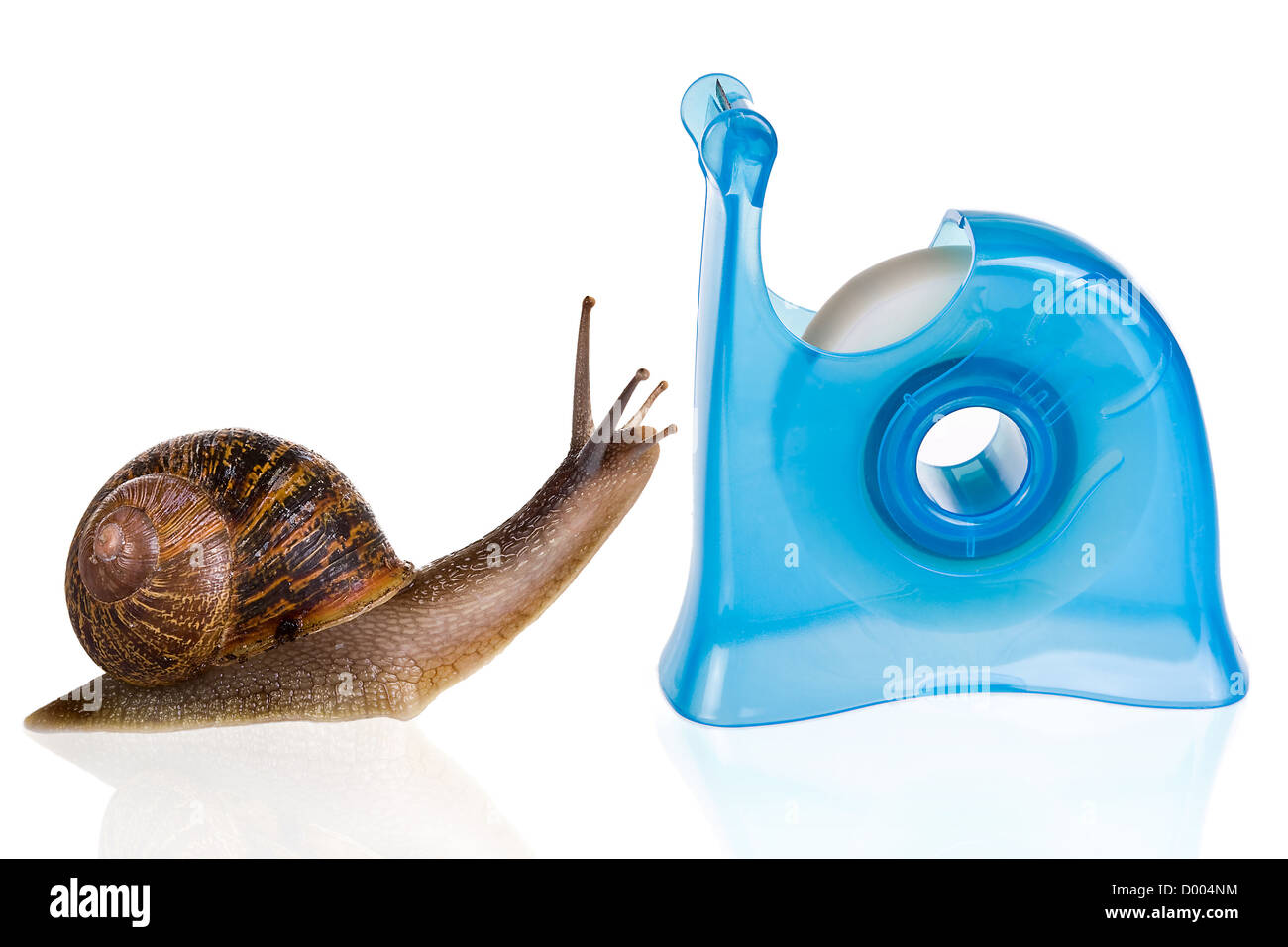 Garten-Schnecke in der Liebe mit einem blauen Wandtatoo Halter Stockfoto