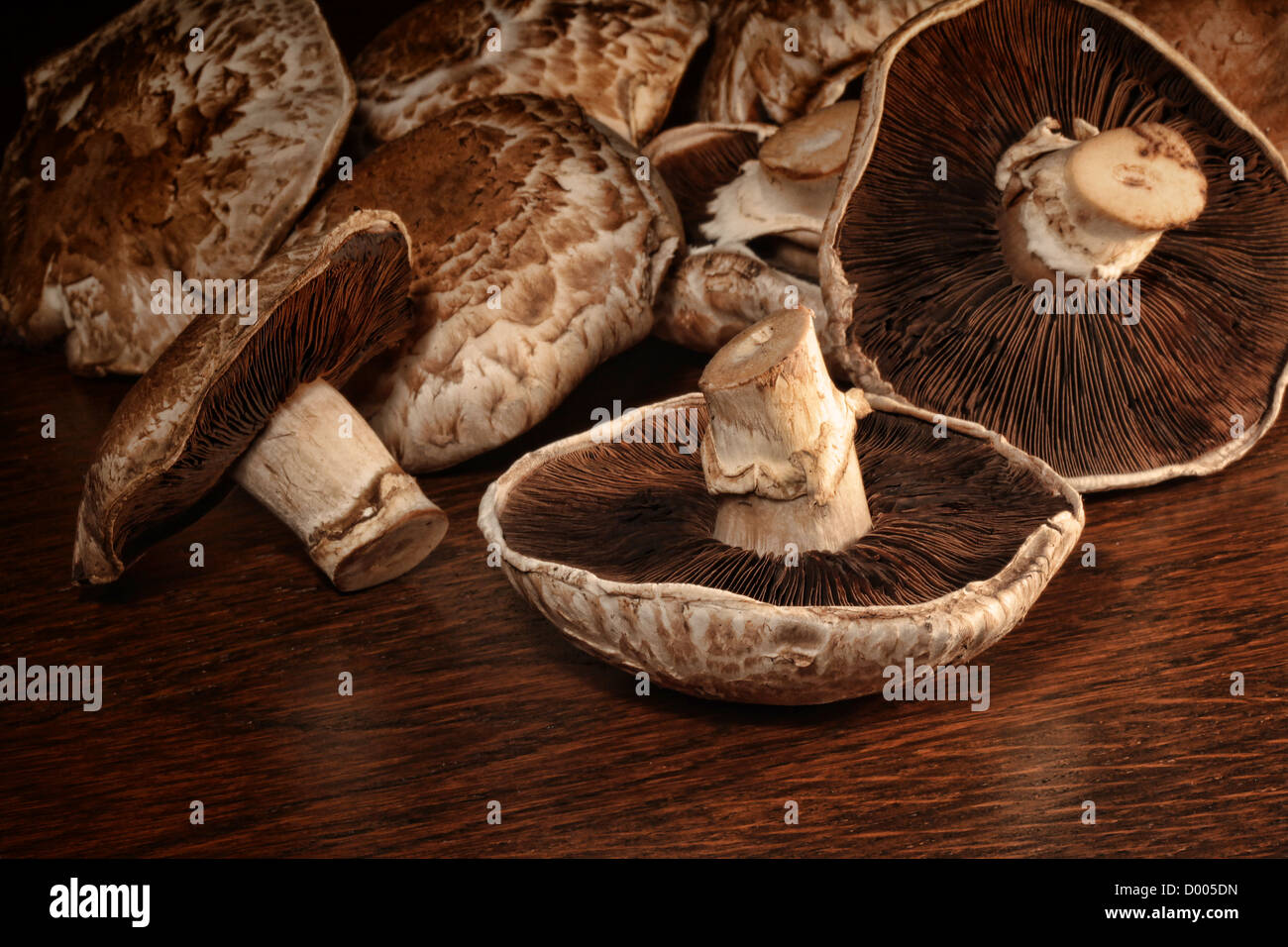 Nahaufnahme von frischen Portobello-Pilze auf Holzoberfläche Stockfoto