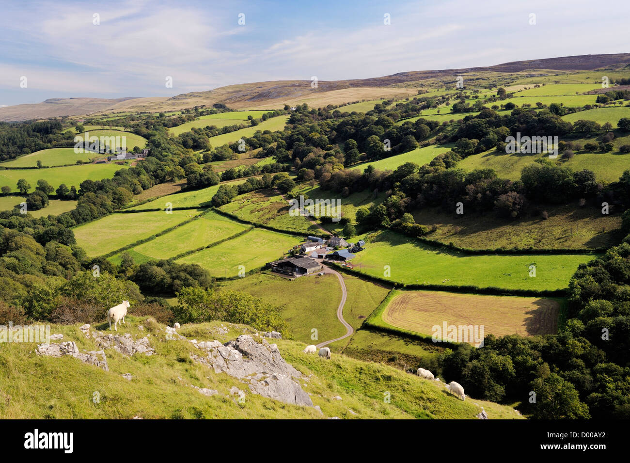 Blick nach Osten vom Carreg Cennen Castle, Hill Farm Ackerland in Richtung Black Mountain, Wales, UK. Brecon-Beacons-Nationalpark Stockfoto