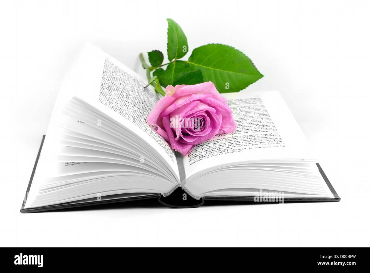 Buch platziert Fotos und Bildmaterial in hoher Auflösung Alamy