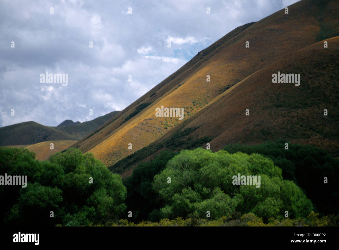 Südinsel Neuseeland Lindis Pass Hügellandschaft Stockfoto