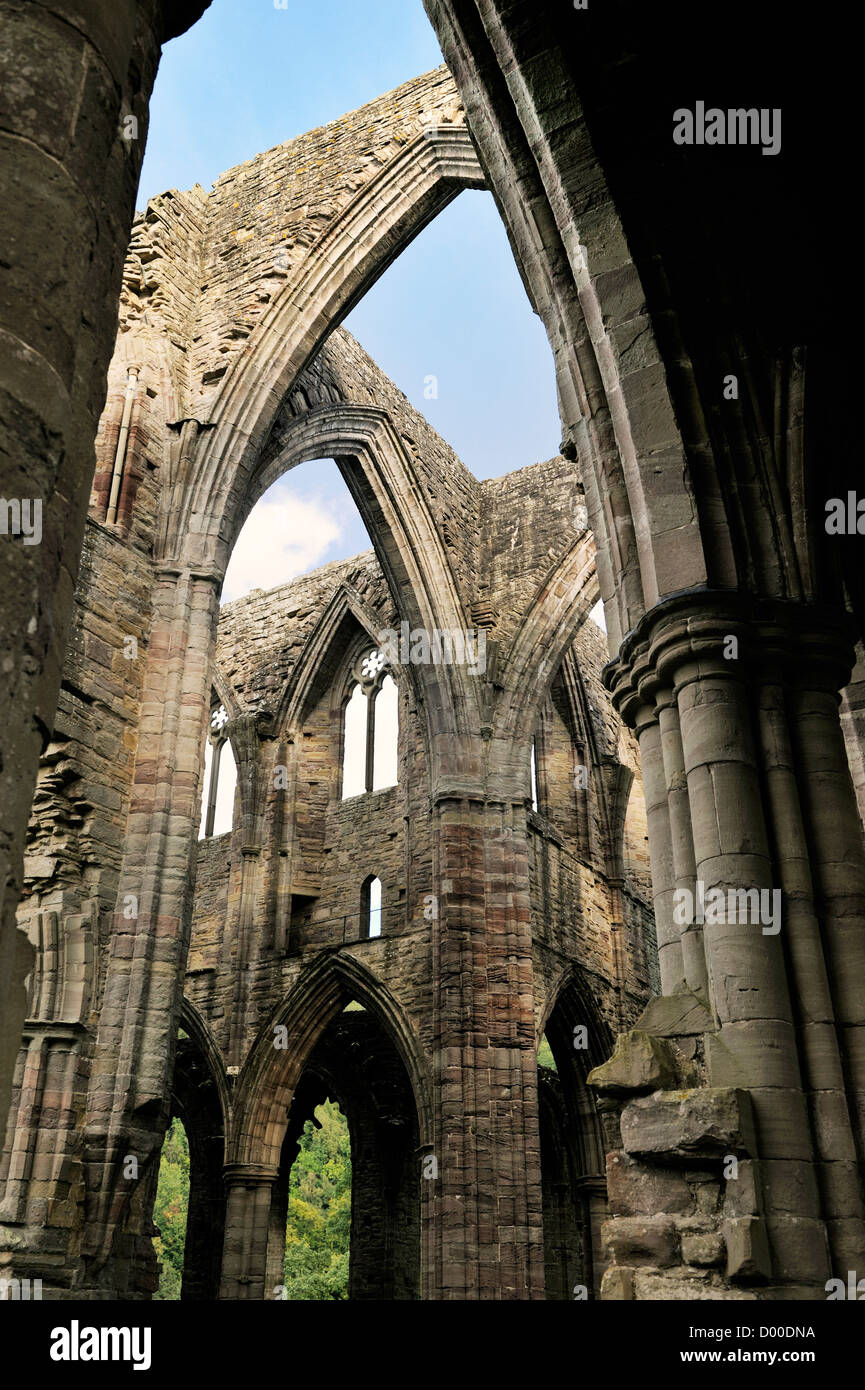 Tintern Abbey im Wye Valley, Monmouthshire, Wales, UK. Zisterziensische christliche Kloster gegründet 1131. Zentralen Querschiff Bögen Stockfoto