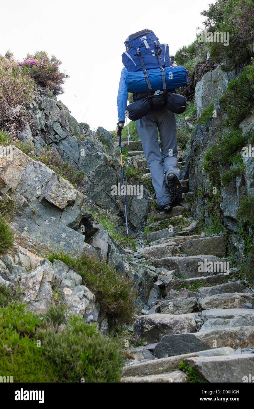 Eine Frau Wanderer zu Fuß auf einem steilen Steinweg mit einem großen Rucksack im Lake District. Stockfoto