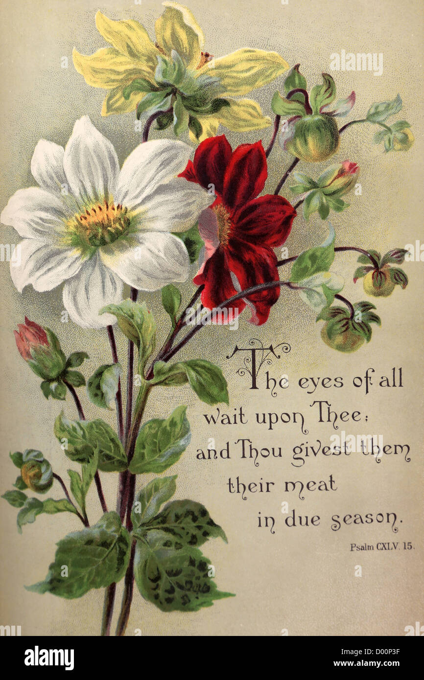 Die Augen von allen warten auf dich; Und du gibst ihnen ihr Fleisch rechtzeitig Saison Psalm CXLV.15 Blumen gedruckt von Alf Cooke Stockfoto