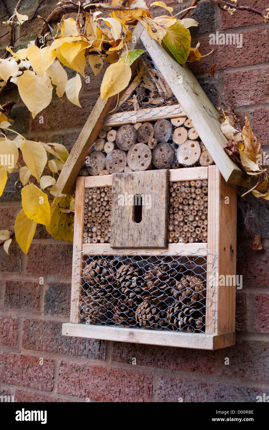 Bienen und Insekten Box Garten Wand befestigt. Stockfoto