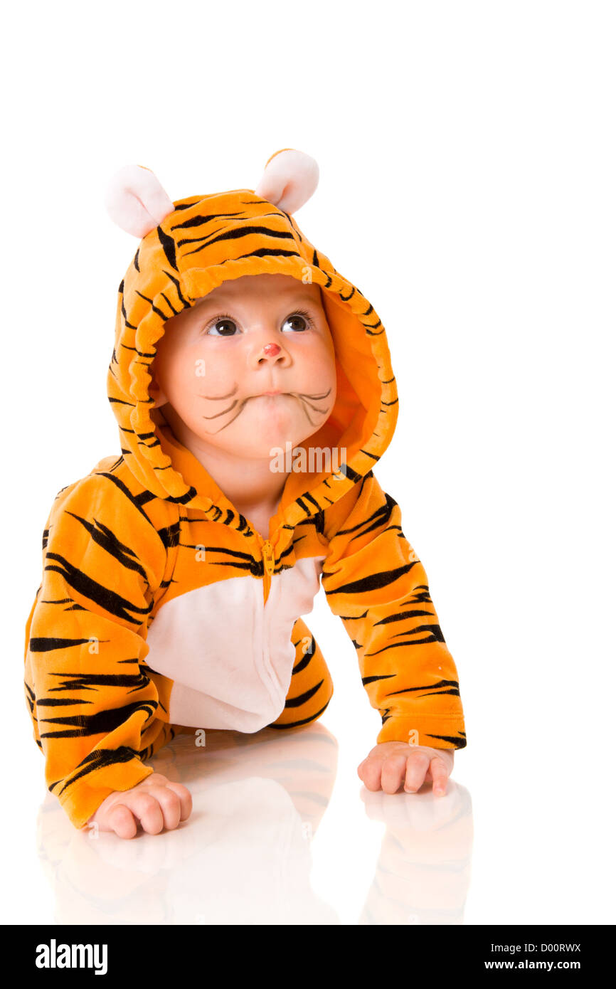 Sechs Monate Baby tragen Tiger Anzug sitzen isoliert auf weiss Stockfoto