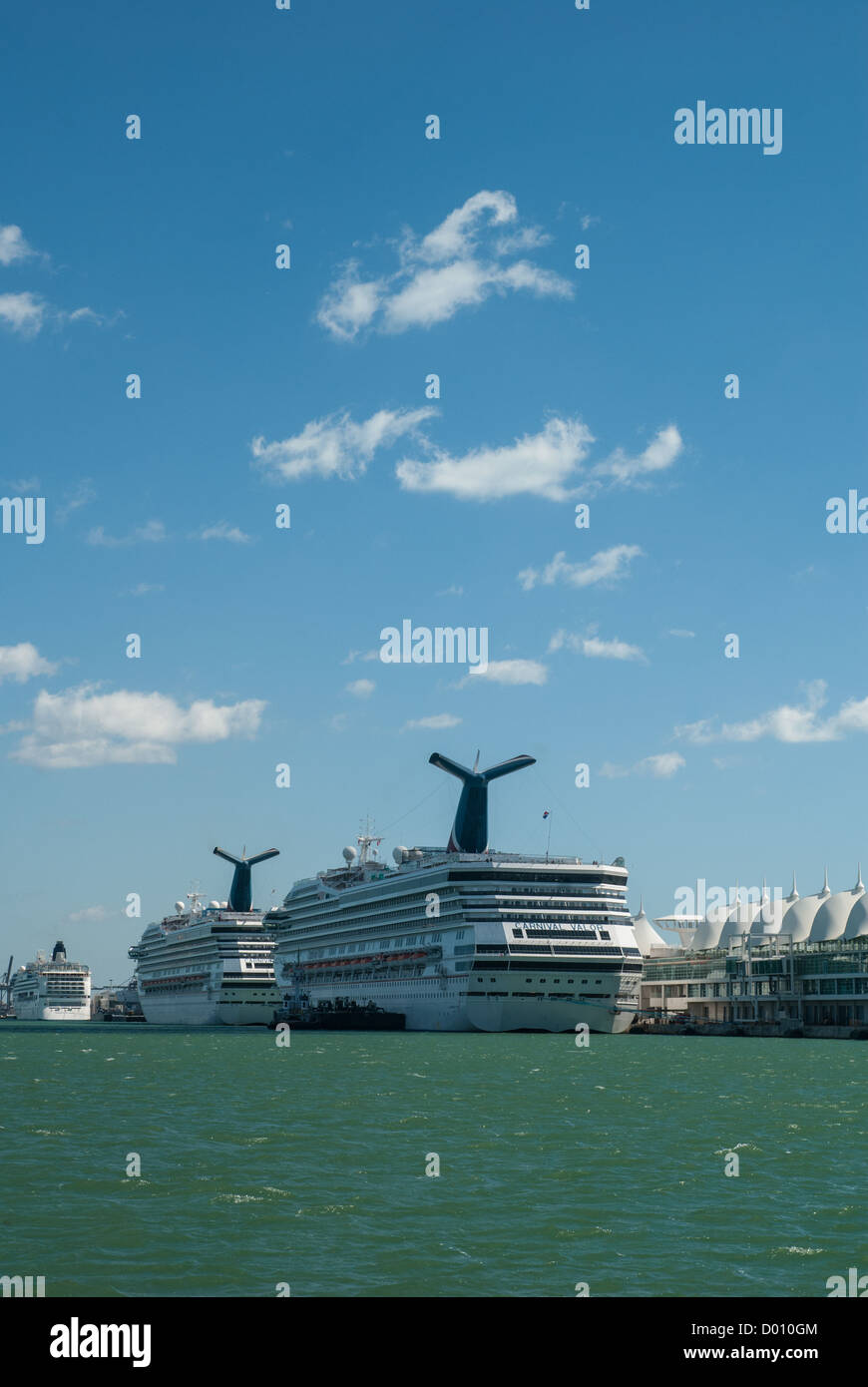 Kreuzfahrtschiffe im Hafen, Miami, Florida, USA Stockfoto