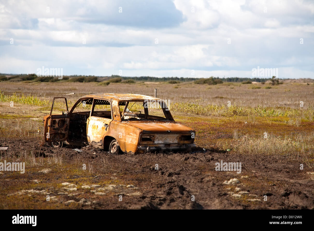 alte rostige Auto verlassen mitten im Sumpf Stockfoto