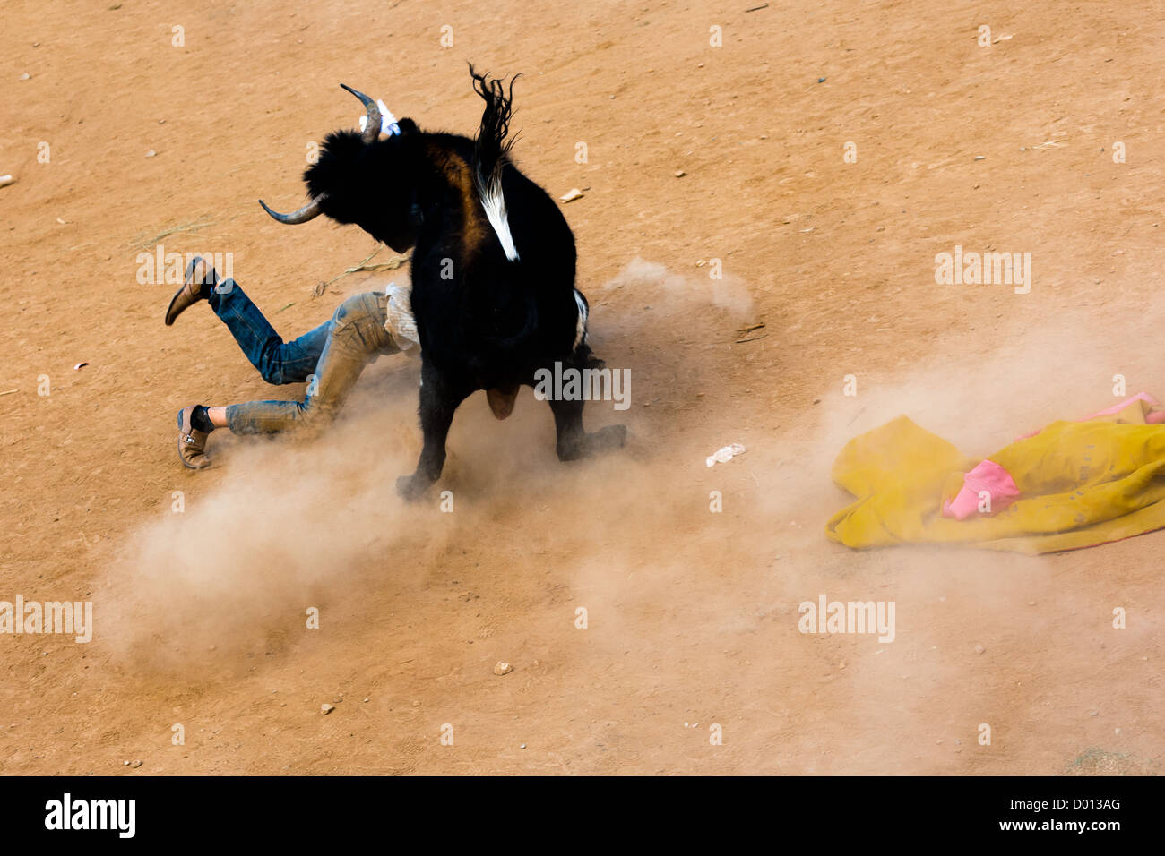 Ein junger Stierkämpfer fällt herunter, nachdem durch einen wilden Stier angegriffen wird, während die Yawar Fiesta in Apurímac, Peru statt. Stockfoto