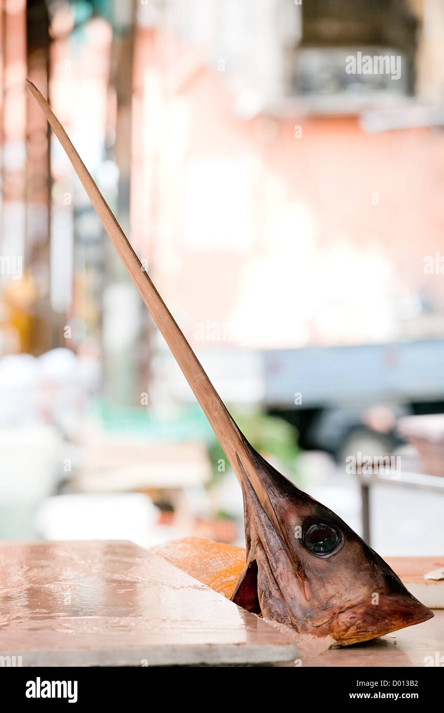 großer Kopf vom Schwertfisch auf Meer Markt Tisch Stockfotografie - Alamy