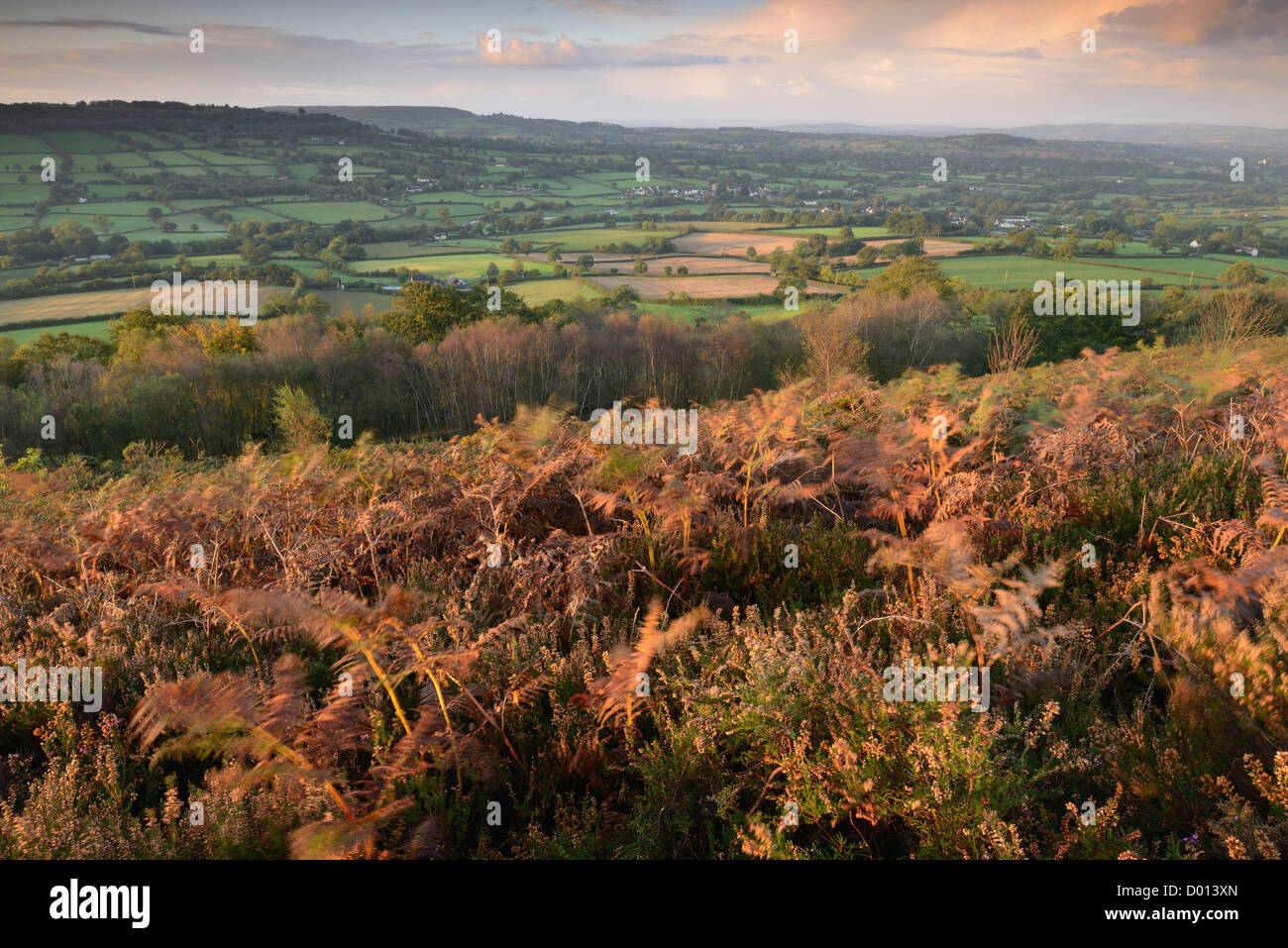 Dawn Lichtmenge die herbstliche Landschaft aus Culmstock Leuchtfeuer in Blackdown Hügel, Devon, UK. Stockfoto