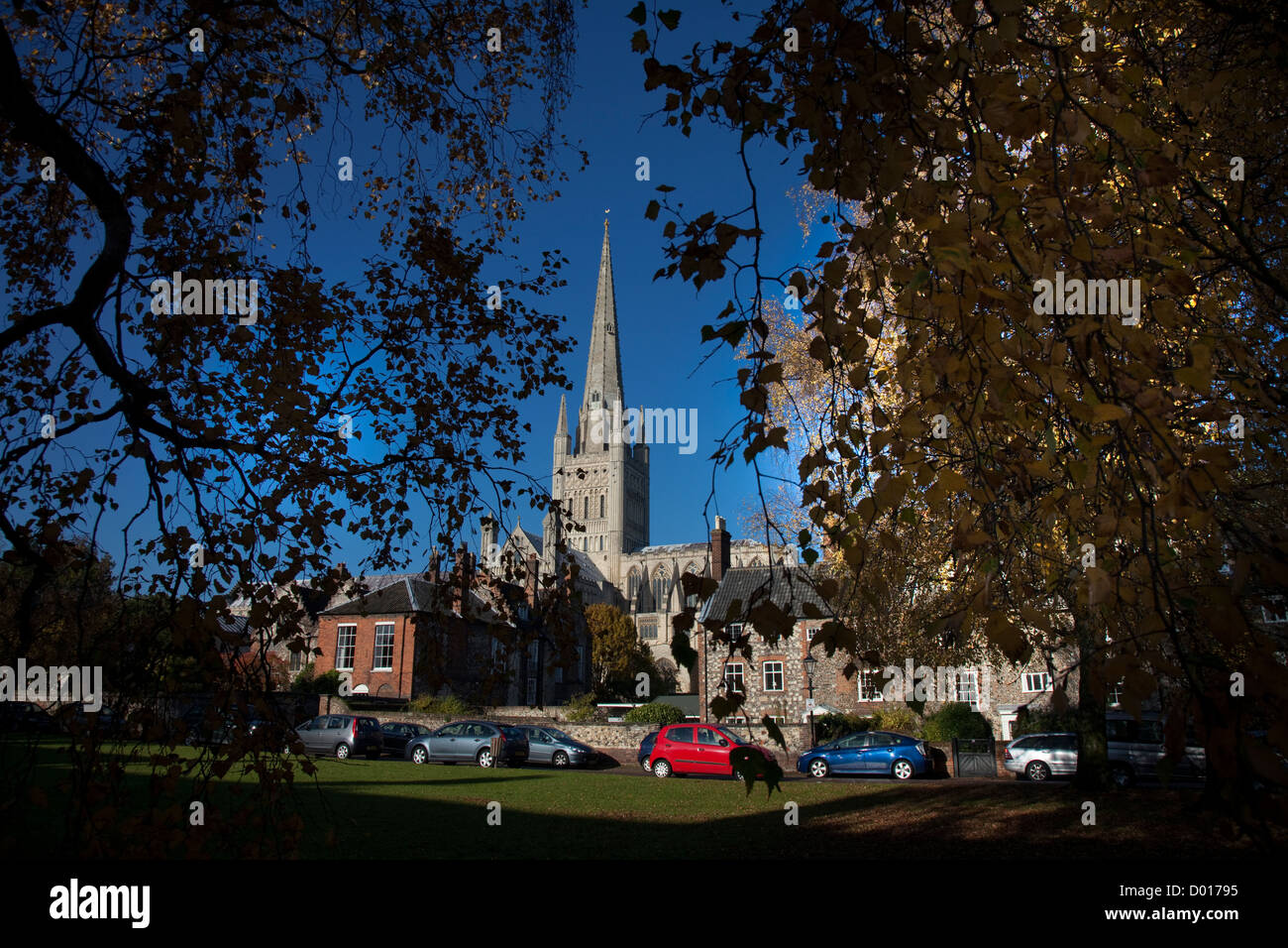 Norwich Cathedral Stockfoto