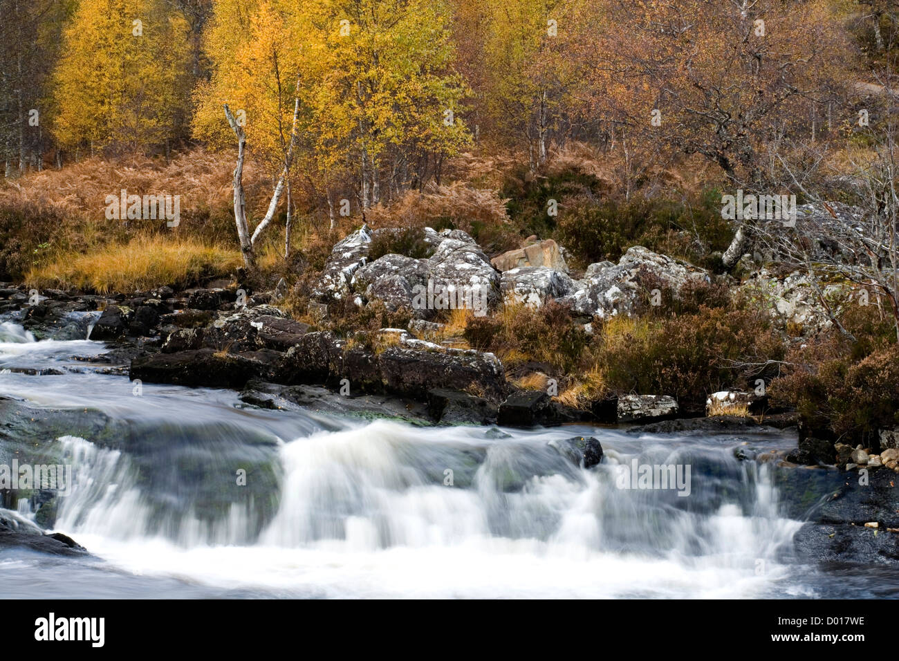 Der Fluss Affric im Herbst. Stockfoto