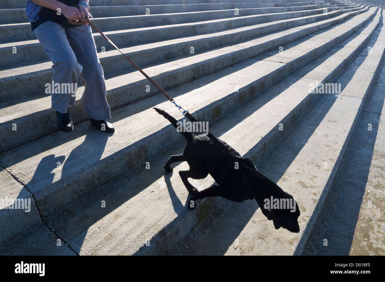 Applying Frau und ihrem Hund zu Fuß hinunter eine konkrete Meer-Verteidigung. Stockfoto