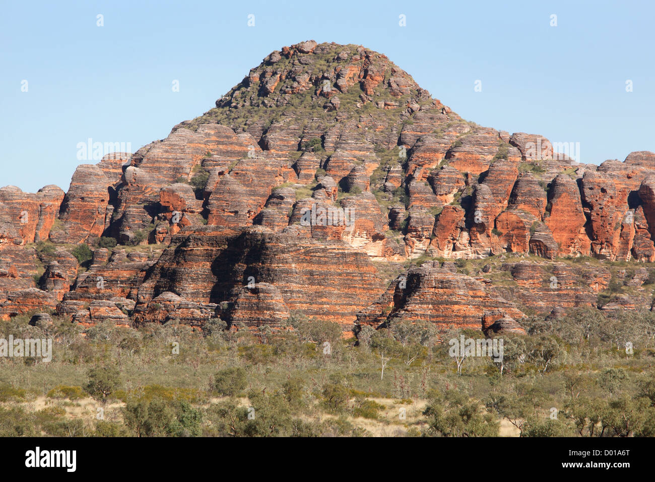 Sandstein und Konglomerat Felsformationen bekannt als der Bungle Bungles. Purnululu National Park, Western Australia. Stockfoto