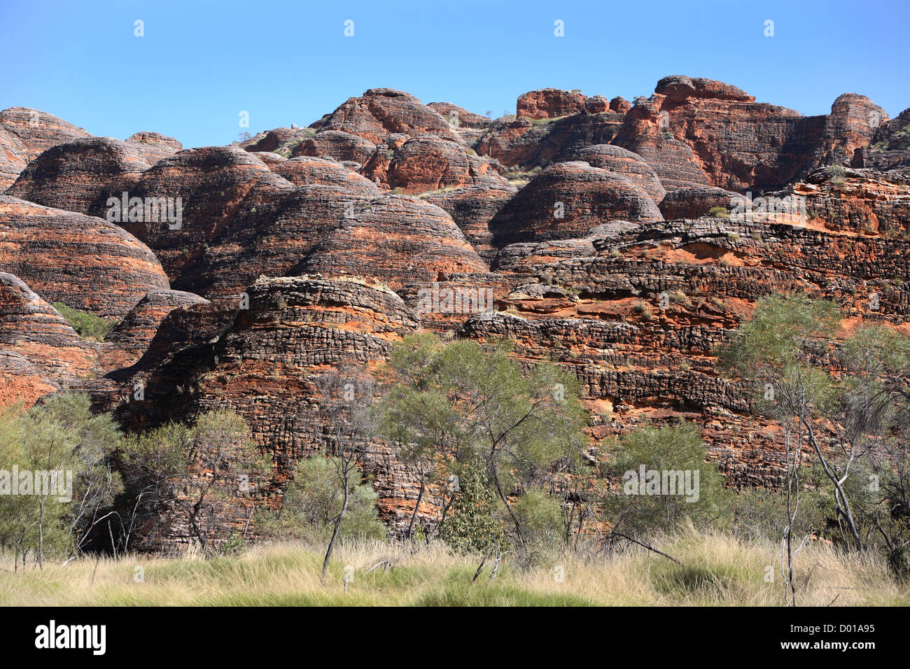 Sandstein und Konglomerat Felsformationen bekannt als der Bungle Bungles. Purnululu National Park, Western Australia. Stockfoto